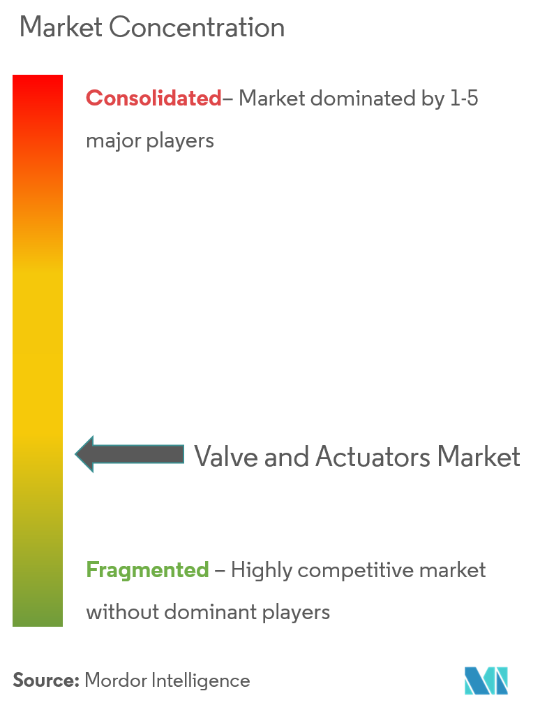 Emerson Electric Co., Schlumberger Limited, Alfa Laval Corporate AB, Flowserve Corporation, Crane Co.